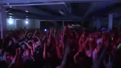 Library Rave Rave Gif