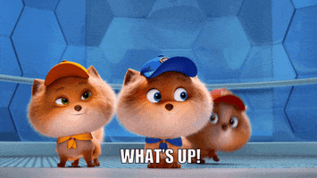 Whats Up Hello GIF by PAW Patrol: The Mighty Movie