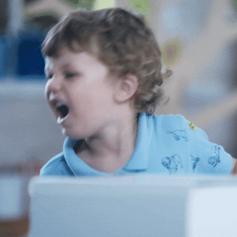 giphy.gif