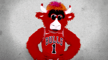 benny the bull thumbs down GIF by Chicago Bulls