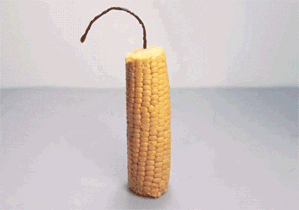 corn