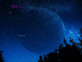 200.gif?cid=fc005b088f8650dd2b30148c5b0321ba56916bfdd1dedeef&rid=200.gif&ct=g