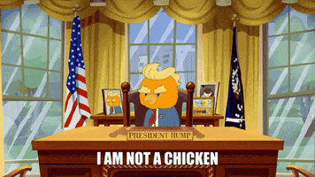 Donald Trump GIF by Noise Nest Network