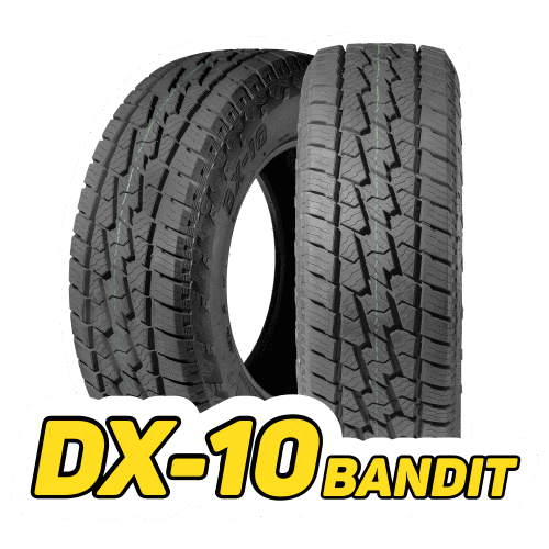 Alta Performance Dx10 Bandit Sticker by DELINTE - Pneus de Alta Performance