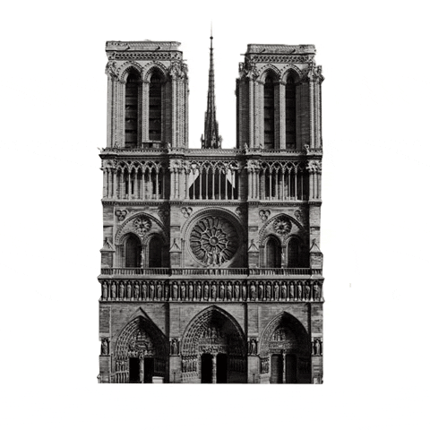 Notredame GIF