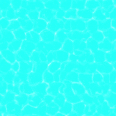 Sunshinelive GIF