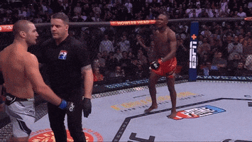 Ufc GIF
