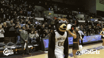 Basketball Monte GIF by Montana Grizzlies