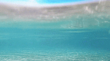 boutzi GIF