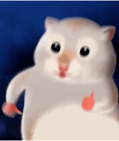 Image result for hamster digestive health tips - Hamster Digestive Health Tips