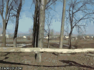 head fail GIF by Cheezburger