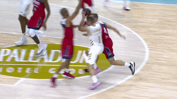 Assist Real Madrid GIF by ACB