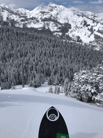 Powderchasers GIF