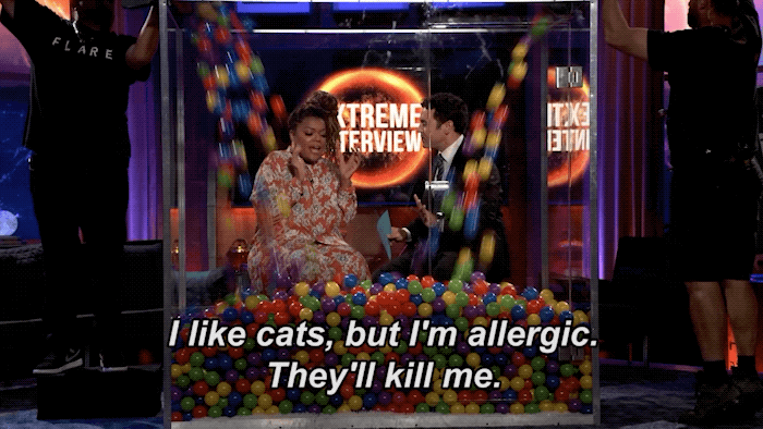 Yvette Nicole Brown Cat GIF by What Just Happened