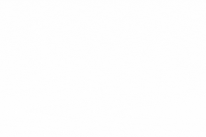 MigratuNZ GIF