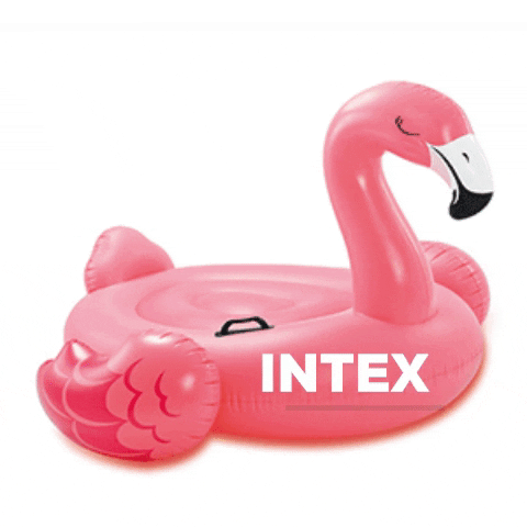 intex GIF