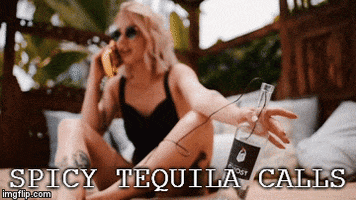 Margarita Tequila Bottle GIF by GHOST Tequila