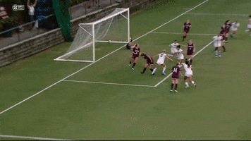 Ncaa Soccer Goal GIF by gamecocksonline