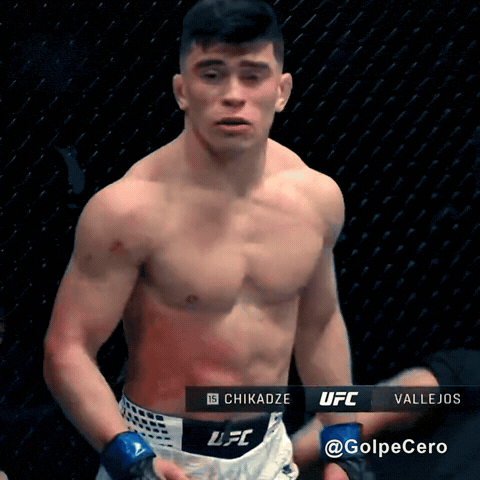 Ufc Vallejos GIF