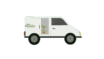 Don Plantín Sticker