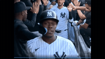 Yankees GIF