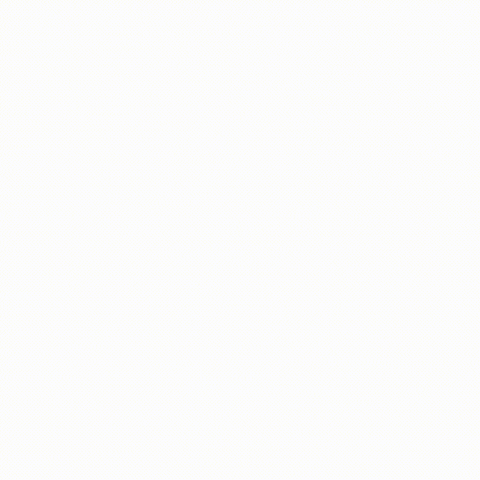 biautogroup GIF