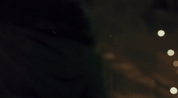 Kung Fu GIF