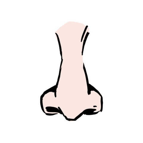 Face Nose Sticker