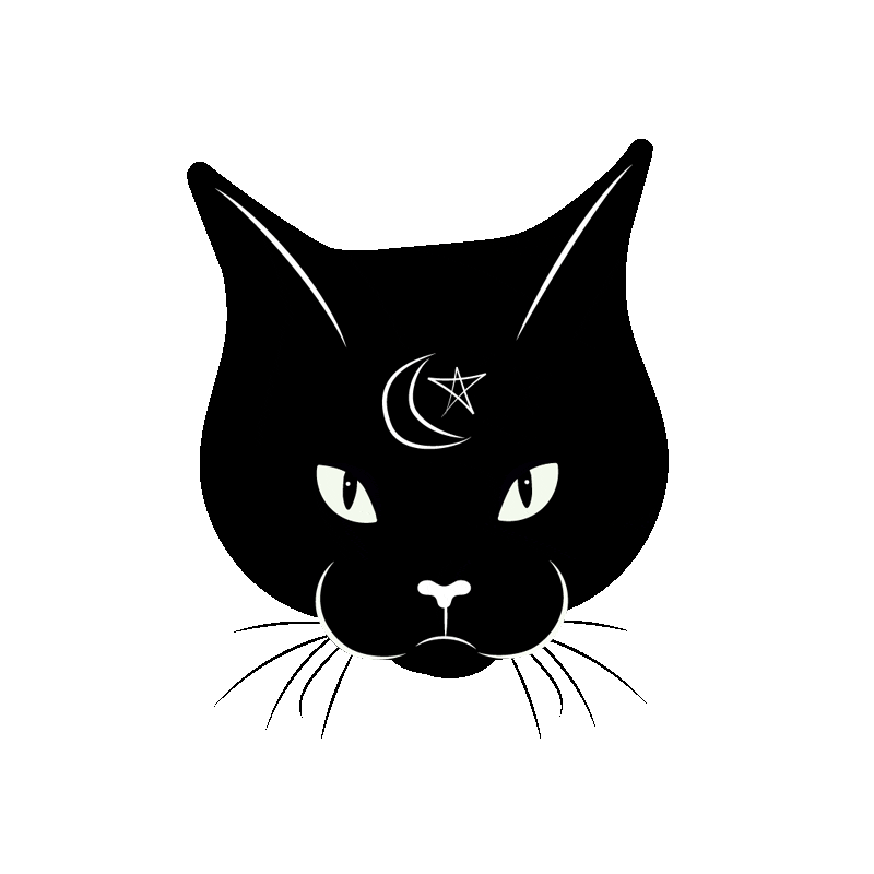 Black Cat Horror Sticker by Boss Dotty Paper Co. for iOS & Android | GIPHY