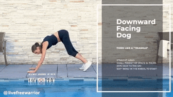 livefreewarrior yoga downward dog yoga basics GIF