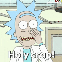 Season 1 Holy Crap GIF by Rick and Morty
