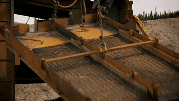 Gold Rush GIF by Discovery Europe