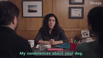 Strays GIF