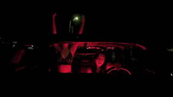 Driving Stand Up GIF by Lauren Sanderson