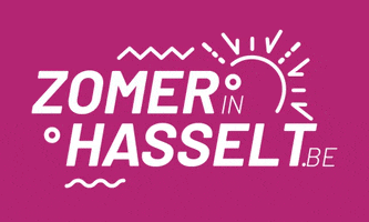 Stad Hasselt GIF