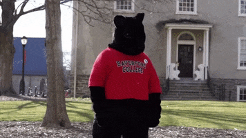 Happy Celebration GIF by Haverford College