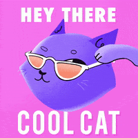 Cool Cat Hello GIF by GIPHY Studios Originals