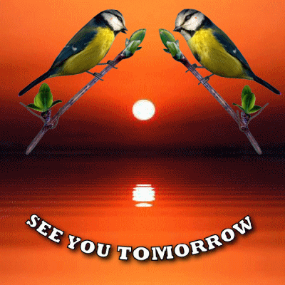 See You Tomorrow Sunset GIF