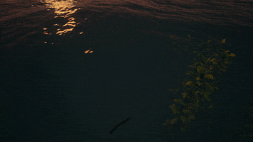 Water Flag GIF by Sea of Thieves