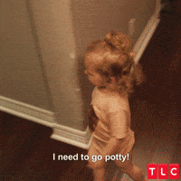 Toilet-paper GIFs - Get the best GIF on GIPHY Toilet-paper GIFs - Get the best GIF on GIPHY