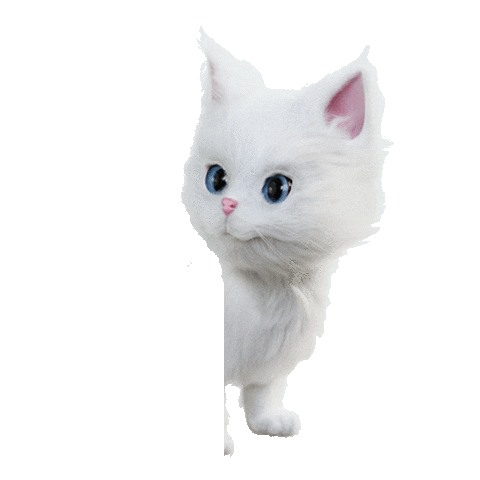 KittenSoftIreland Sticker