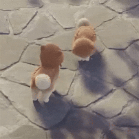 Friends GIF
