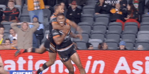 Michael Chee Kam GIF by Wests Tigers - Find & Share on GIPHY