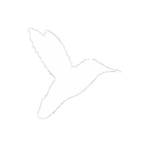 We are Hummingbird Sticker