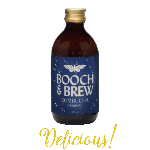 Booch & Brew Kombucha Sticker
