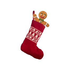 Gingerbread Man Christmas Sticker by Tune Talk