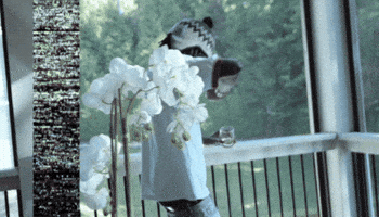 Diorvsyou GIF by STRAPPED!