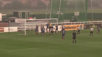 Wsl GIF