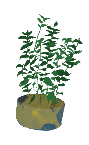 Illustration Sticker