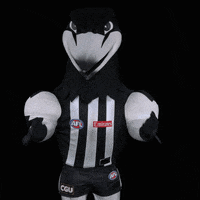Mascot Afl GIF by CollingwoodFC